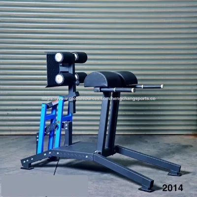 Gym Fitness Equipment Bobybuilding Strength Machine Glute Ham Development/Glut Ham Raise GHD