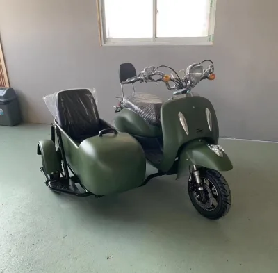 Sidecar Electric Motorcycles Powerful 3000w Electric Scooters Citycoco for Adult Passenger Seat for Pet Dog