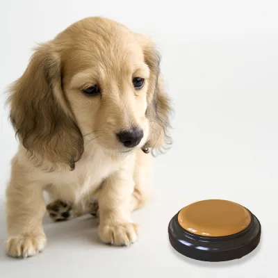 Small MOQ Recordable Speaking Button For Animal Squeeze Sound Buzzer Battery Powered Customized Dog Talking Buttons