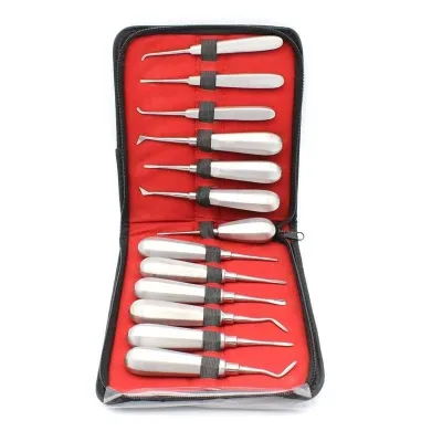 Dental Stainless Steel Elevator Extraction Triangle Root-End Elevator Oral Surgical Instruments