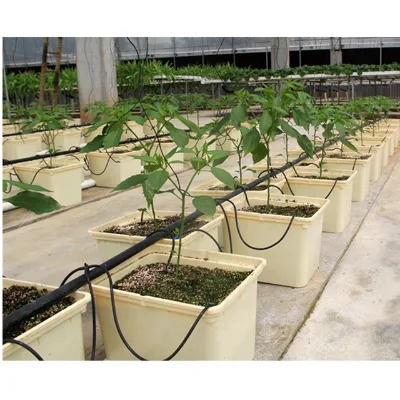 Tomato Dutch Bucket Drip Irrigationhydroponic Dutch Buckets with Lids