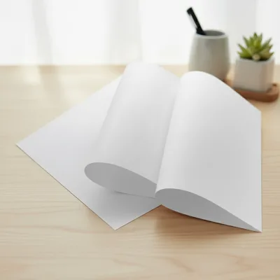 Chinese Factory Recyclable Note Paper Exercise Book Papers Coated Paper for Packaging