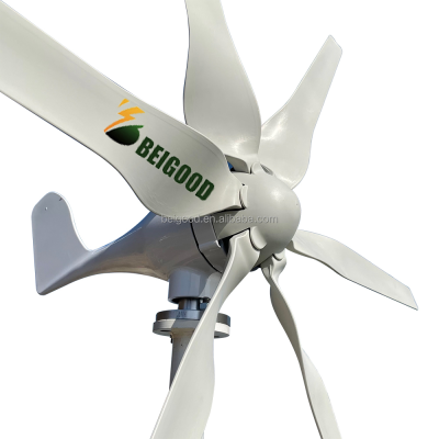 Beigood Factory Good Price Wind Driven Roof Top Turbine Ventilator 800w 12v 24v Horizontal Wind Turbine Generator Six Blades
