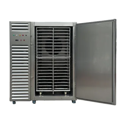Walk in Blast Freezer for Seafood Quick Freezer