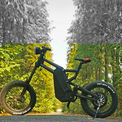 Max 66km/h Fatbike Electric Carbon Fiber 20 Inch Vintage 3000W Fat Ebike, Not Mario Ebike