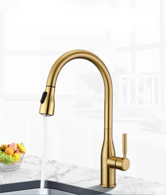 Stainless Steel 360 Pull Out Kitchen Sink Faucet Mixer Water Tap Single Hole Pull Down Sprayer 2 Ways Spring Kitchen Faucet