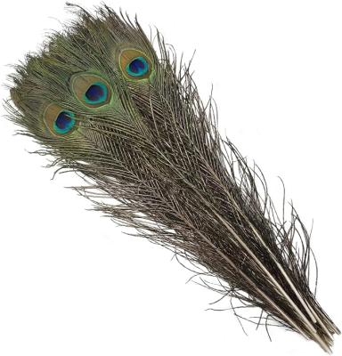 Wholesale Natural Green Color Peacock Feather Peacock Feathers for Carnival Costume