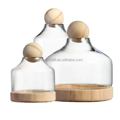 Glass and Wood Terrarium Wood Base Glass Terrarium With Wooden Stopper Clear Glass Dome Terrarium Vase