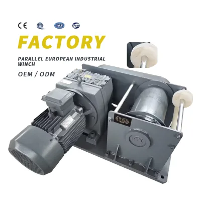 4 Ton/5 Ton/8 Ton Winch, Lift Winch with Winch Controller Can Be Customized