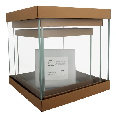 Bring the Ocean Home Sleek Transparent Aquarium Small Perfect Escape for Multiple Fish Friends