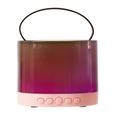 Bestselling Colorful RGB Lights Bluetooth Speakers Home Portable Card Insertion Handheld Wireless Karaoke Speaker