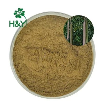 High Quality Supplement Nature Oroxylum Indicum Extract Powder