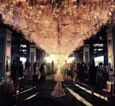 Fiber Optic Lighting for Wedding Hall