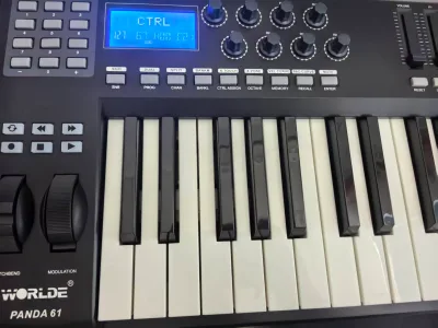 WORLDE PANDA61 Portable 61-Key USB MIDI Keyboard Controller - 8 RGB Colorful Backlit Pads with USB Cable
