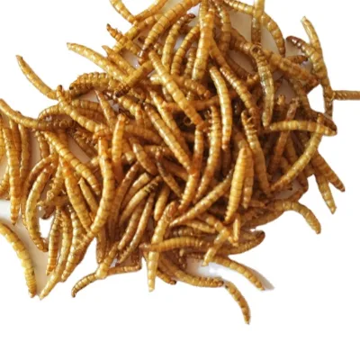 100% Cotton High-Protein Small Breeds Chicken Birds Reptiles Skin & Coat Health All Life Stages