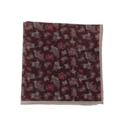 Dacheng Hot Sale Mens Casual Fashion Pocket Square Wool Paisley Print