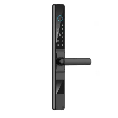 Chinese Supplier Keyless Lock Waterproof Security Cylinders APP Fingerprint Aluminum Door Lock With Key