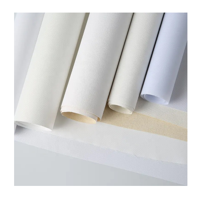 FLY Hot Sale 260g Art Canvas Waterproof Inkjet Digital Printing Cotton Canvas for Canvas Frame