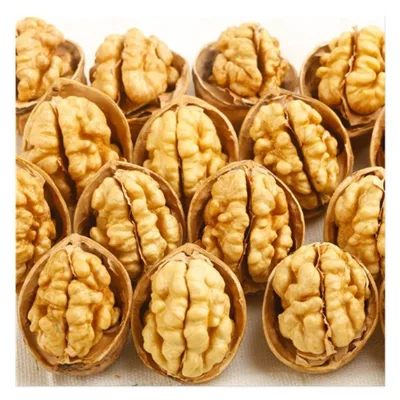 China Xinjiang 185 Walnut Paper Shell One Hand Open Walnuts and Kernels Thin Shin Inshell Walnut Washed and Unwashed 2022 Crop