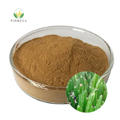 Wholesale Price Natural 10:1 Cissus Quadrangularis Extract Powder in Bulk