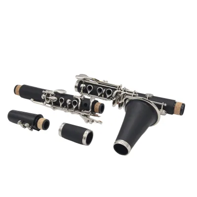 Hot Selling Bb Flat Clarinet Black Silver 17 Keys Woodwind Instrument with Carry Case