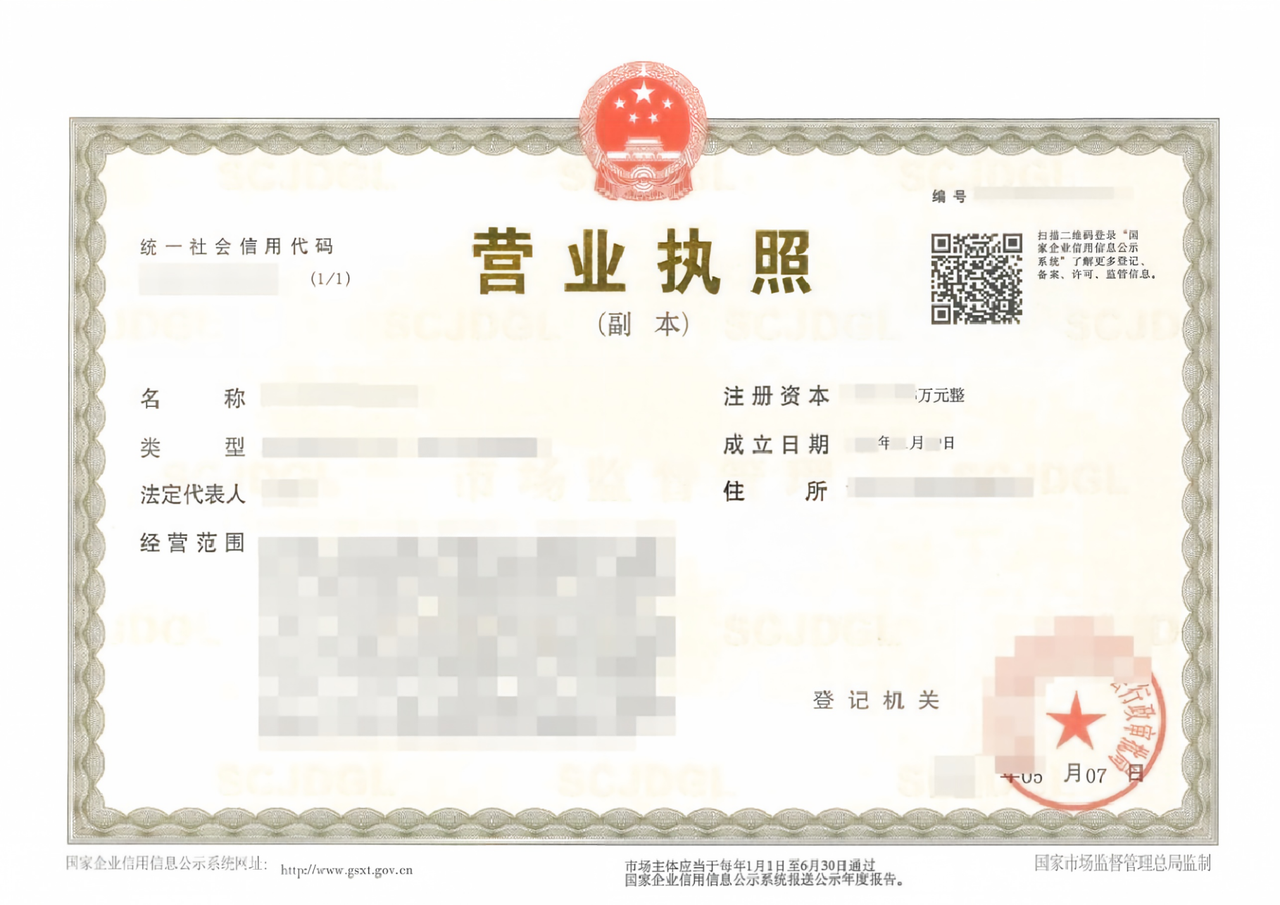 A Chinese business license (duplicate copy) with the identifying fields redacted, showing where the Unified Social Credit Code, company name, company type, legal representative, registered capital, establishment date, registered address, business scope, and registration authority appear on the document.